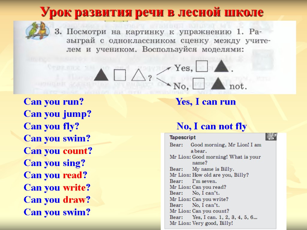 Can you run? Yes, I can run Can you jump? Can you fly? No,